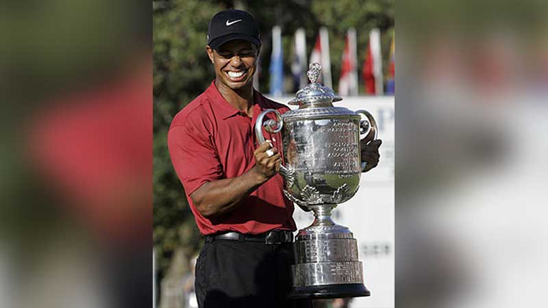 Tiger Woods Career