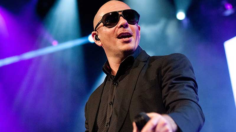  What is the Pitbull Net Worth?