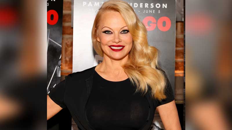 Pamela Anderson Career