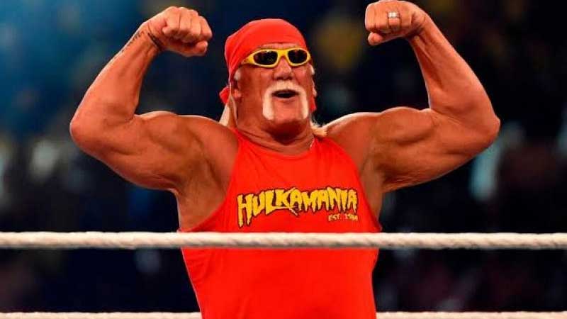 Hulk Hogan Career