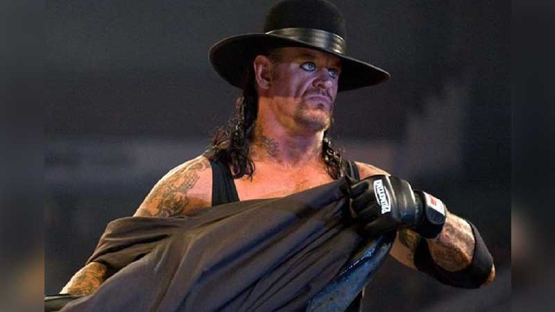 The Undertaker Movies and TV Shows