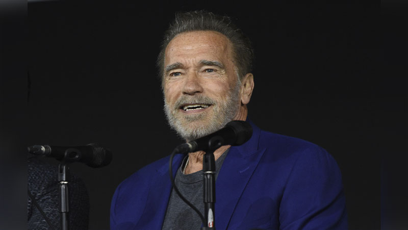 Arnold Schwarzenegger Film Success