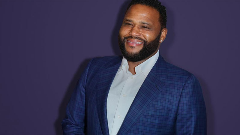 Anthony Anderson Television Career
