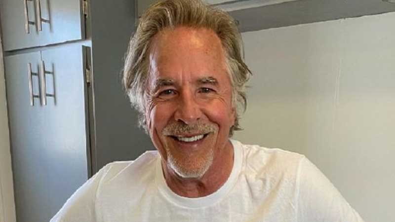 Don Johnson Legal Issues